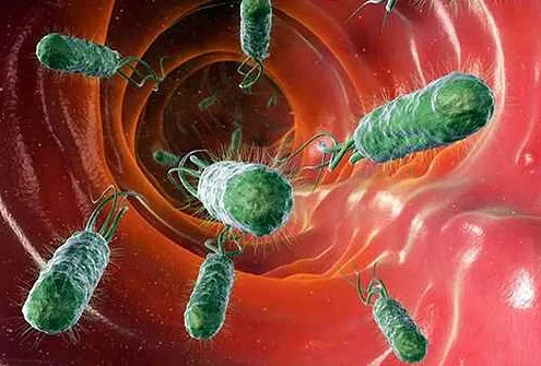 Применение пробиотиков для укрепления кишечной микрофлоры
