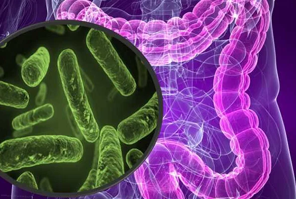 Являются ли бактерии кишечника гарантией защиты от всех видов отравления?
