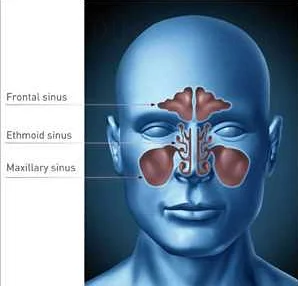 Роль профилактических осмотров и гигиены полости рта