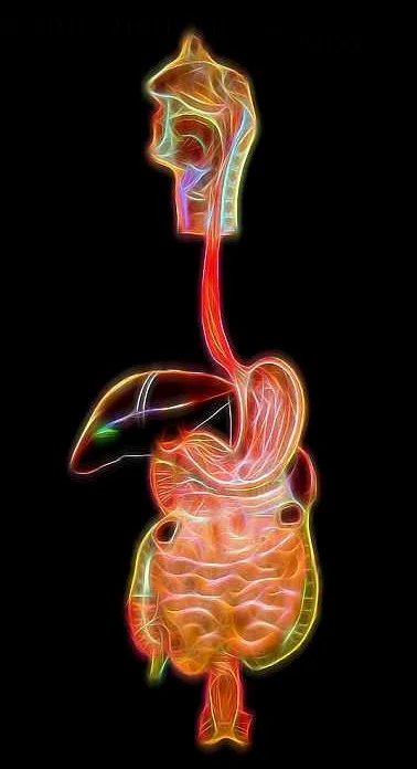 Связь между состоянием полости рта и желудочно-кишечными проблемами