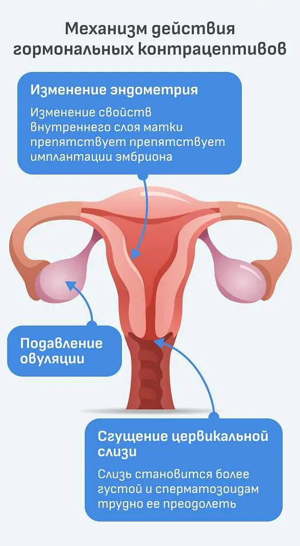 Контрацепция и равенство полов