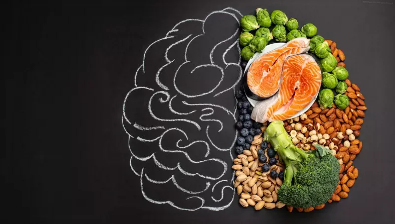 Стимуляция мозга с помощью протеинов и жиров