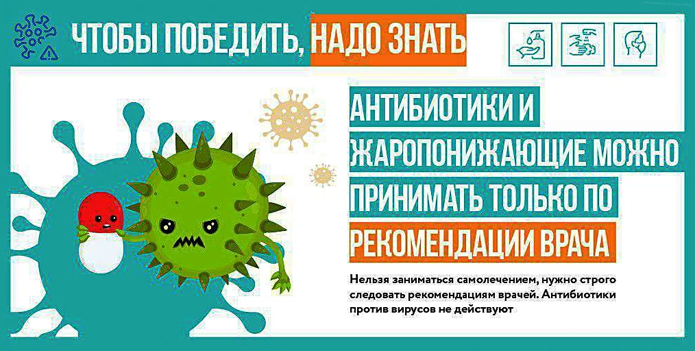 Размножение бактерий и вирусов
